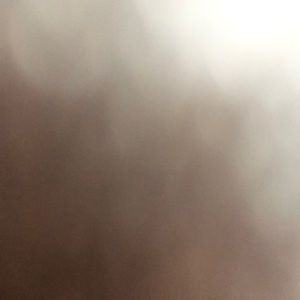 Meet your Posher, Isabella